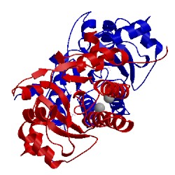 Image of CATH 4iqy