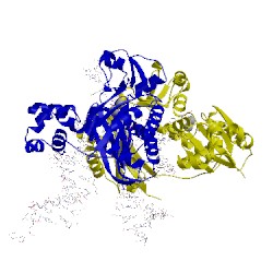 Image of CATH 4irc