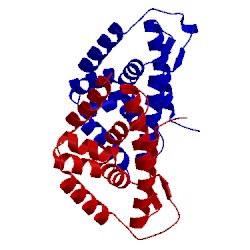 Image of CATH 4irf