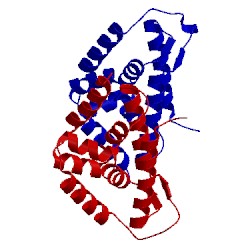 Image of CATH 4irf