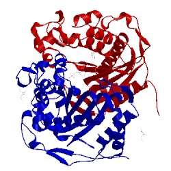 Image of CATH 4irr