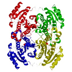 Image of CATH 4is3