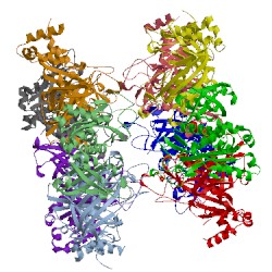 Image of CATH 4is4