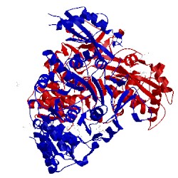 Image of CATH 4isb