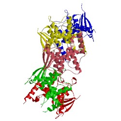 Image of CATH 4isd