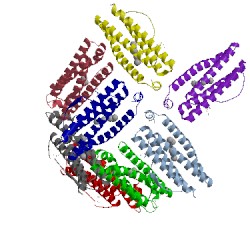 Image of CATH 4isp