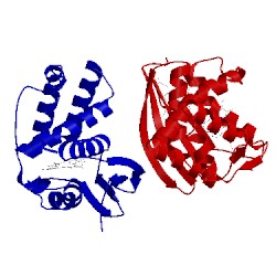 Image of CATH 4it2