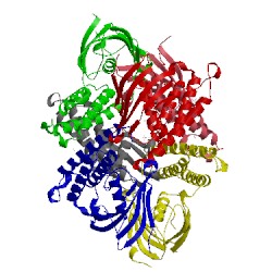 Image of CATH 4it4