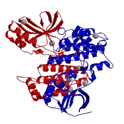 Image of CATH 4itj