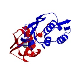 Image of CATH 4ium