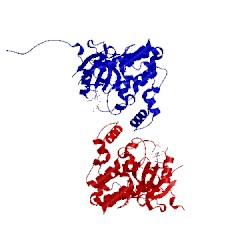 Image of CATH 4ivb