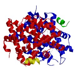 Image of CATH 4ivy