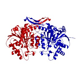 Image of CATH 4iwh