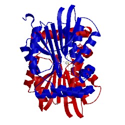 Image of CATH 4iwn