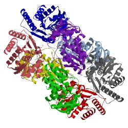 Image of CATH 4ix1