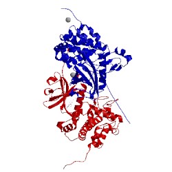 Image of CATH 4ix6