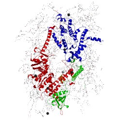 Image of CATH 4ixq