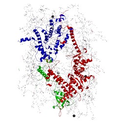 Image of CATH 4ixr