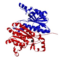 Image of CATH 4iy1