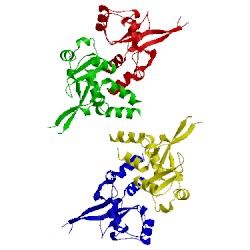 Image of CATH 4iy3
