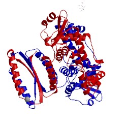 Image of CATH 4j00