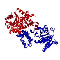Image of CATH 4j0e