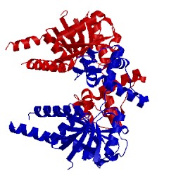 Image of CATH 4j0f