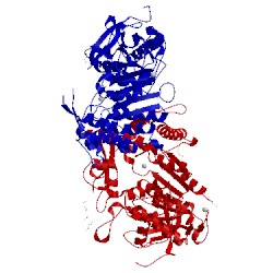 Image of CATH 4j0g