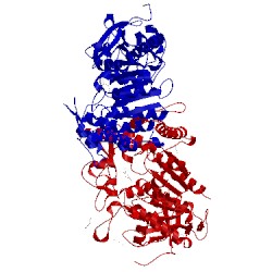 Image of CATH 4j0i