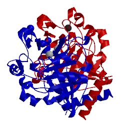 Image of CATH 4j0n