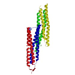 Image of CATH 4j11