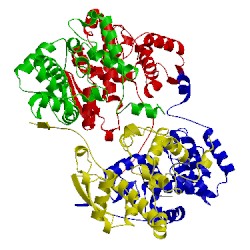 Image of CATH 4j1g