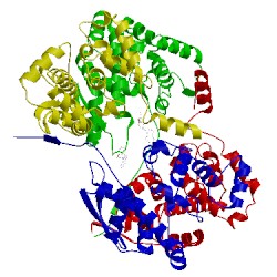 Image of CATH 4j1j