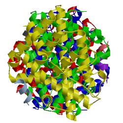 Image of CATH 4j24