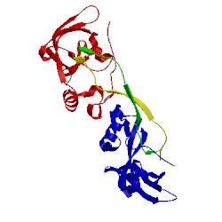Image of CATH 4j2l