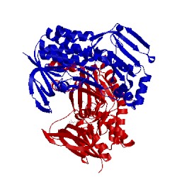 Image of CATH 4j34