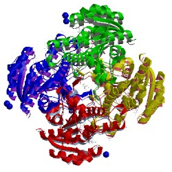 Image of CATH 4j3f