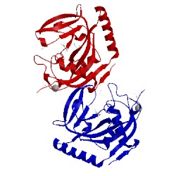 Image of CATH 4j3m