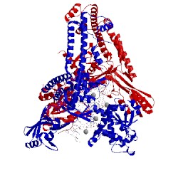 Image of CATH 4j3n