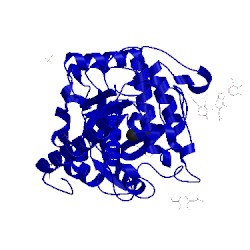 Image of CATH 4j3p