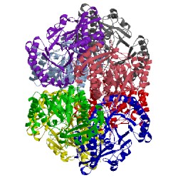 Image of CATH 4j3z