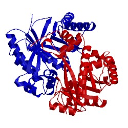 Image of CATH 4j40