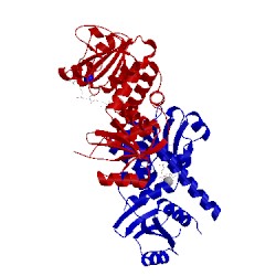 Image of CATH 4j43