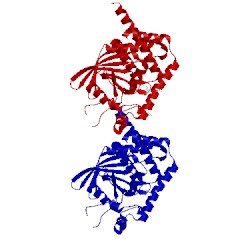 Image of CATH 4j51