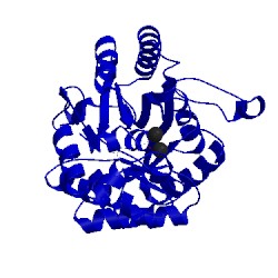 Image of CATH 4j5n