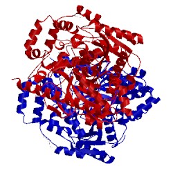 Image of CATH 4j5p