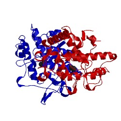 Image of CATH 4j6t