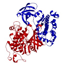 Image of CATH 4j71