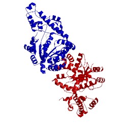 Image of CATH 4j75