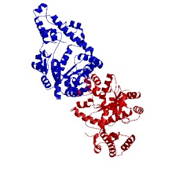 Image of CATH 4j76